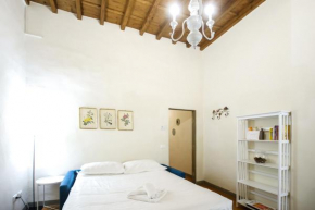 Roomy and elegant apartment by Piazza Pitti